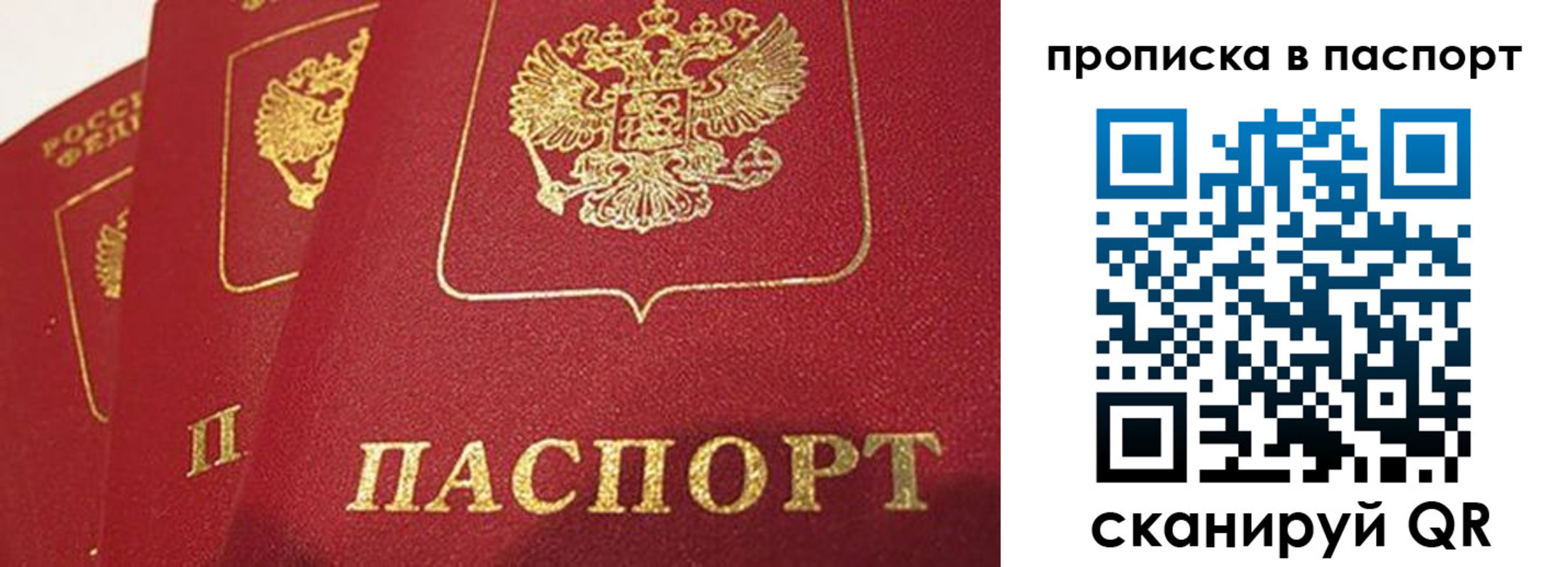 прописка гарантия в Коврове